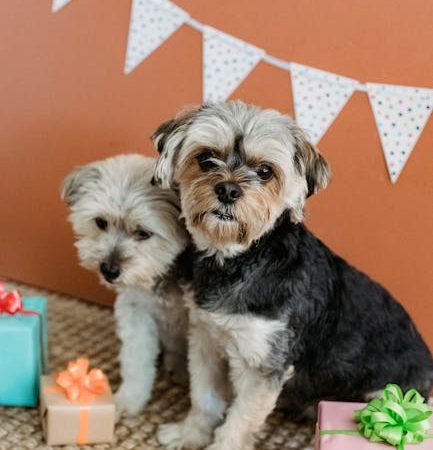 Подарки 6 класс