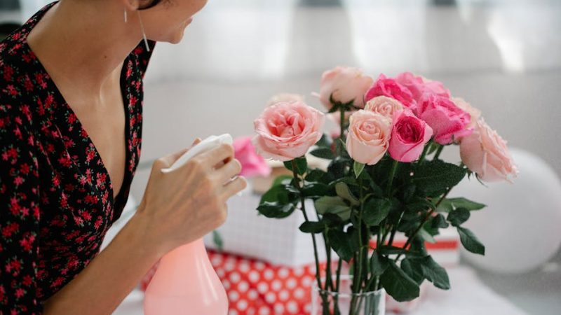 Акция 2 подарка