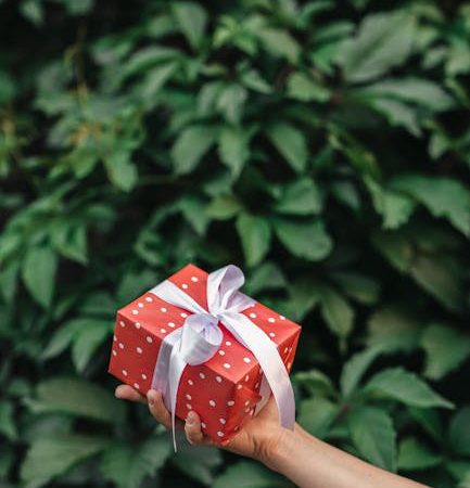 Вайлдберриз купить подарок женщине