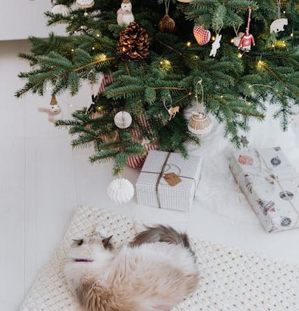 Подарки детям 12