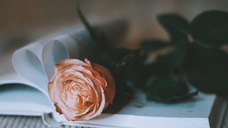 Купить подарок бабушки и дедушки