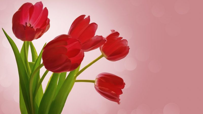 Набор подарок