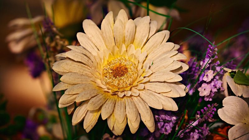 Купить подарки интернете