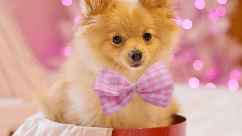 Какой подарок подарить жениху